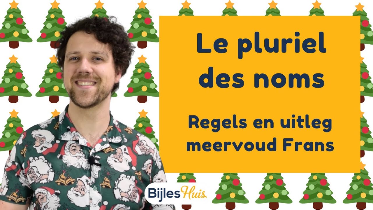 Frans meervoud: le pluriel des noms - regels & uitleg│BijlesHuis