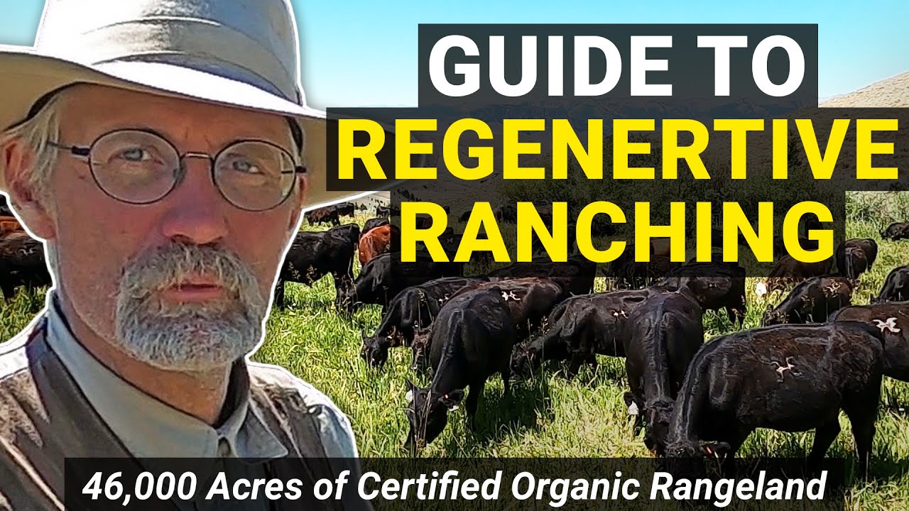 REGENERATIVE ORGANIC Cattle Ranch: How to REGENERATE 46,000 Acres of Wild Range
