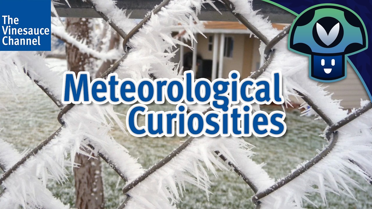 Vinny - Meteorological Curiosities