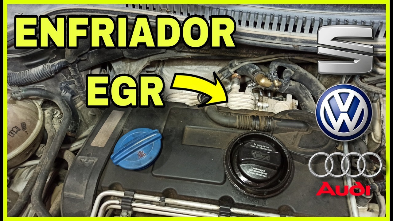 C&oacute;mo anular la EGR y ENFRIADOR en un SEAT Le&oacute;n 2 con motor BKD | P&eacute;rdida de anticongelante