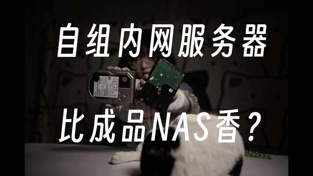 自己打造全能家用服务器！不只是NAS！【凌冰Koori】