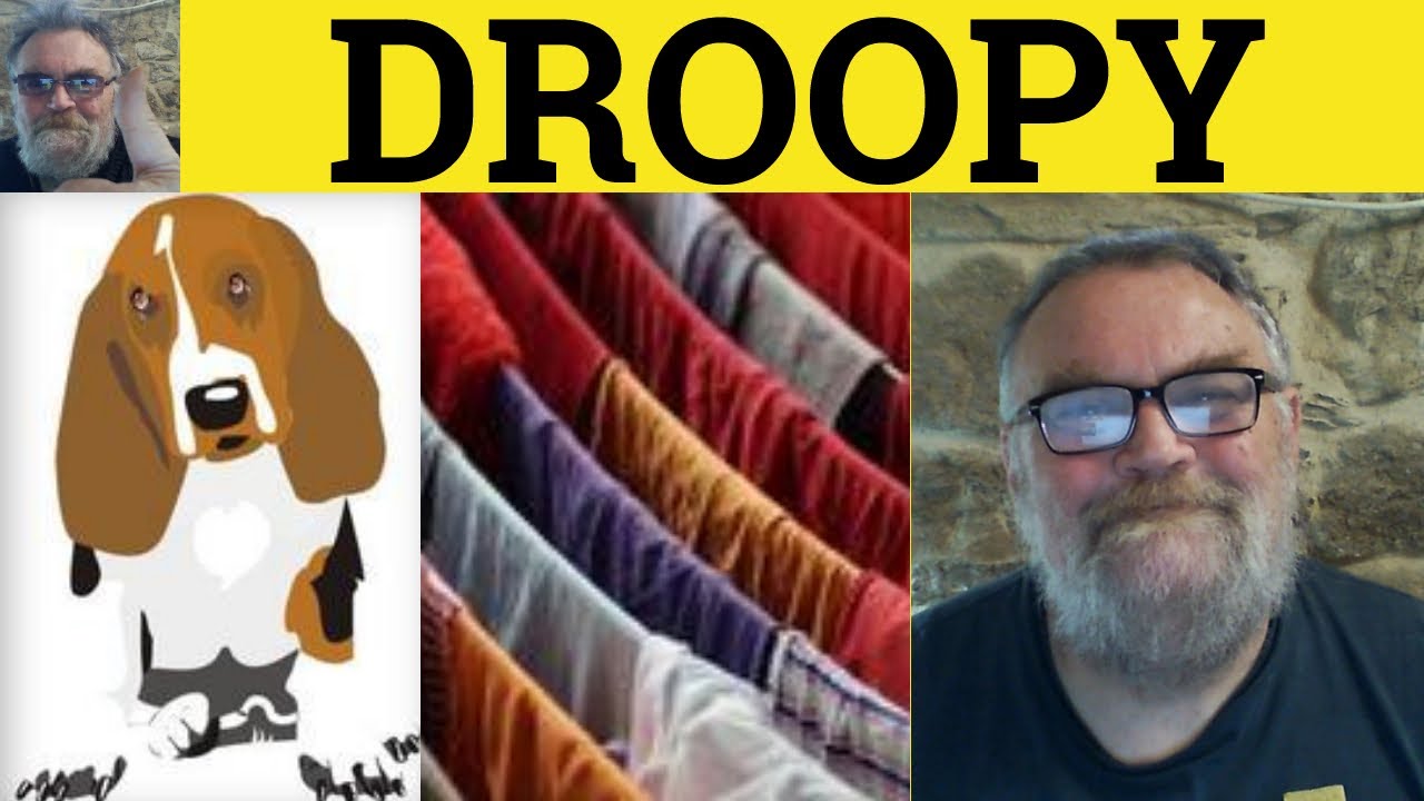 🔵 Droop Meaning - Droopy Examples - Drooping Defined - Droop Explanation - GRE Vocabulary