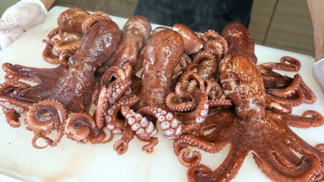 이거 진짜 맛있습니다! 사람들은 잘 모르는 최애 가성비 문어