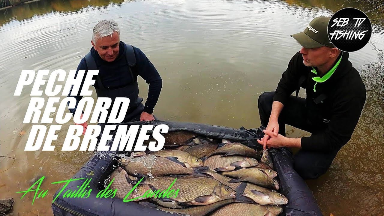 💥PÊCHE RECORD de BRÈMES | Taillis des Landes