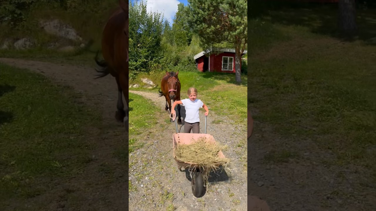 Ella's morning routine😍 #shortsvideo #horse #farmer #equestrian