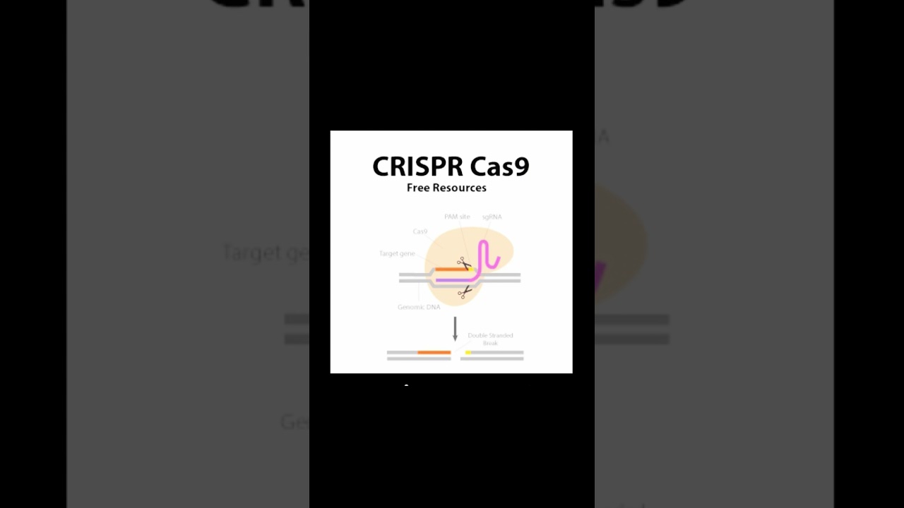 CRISPR & Sickle Cell