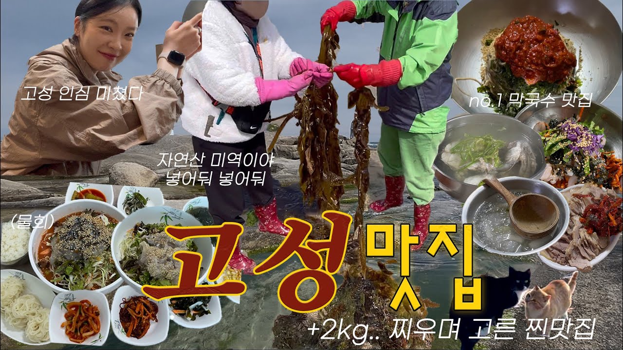 속초에서 고성까지 꽉꽉 채운 1박2일 여행코스🚢 반드시 가봐야 할 고성 여행지, 맛집, 카페, 인생해변 | 가성비숙소추천, 강원도 막국수 1등 여기 | 강원도 여행 vlog