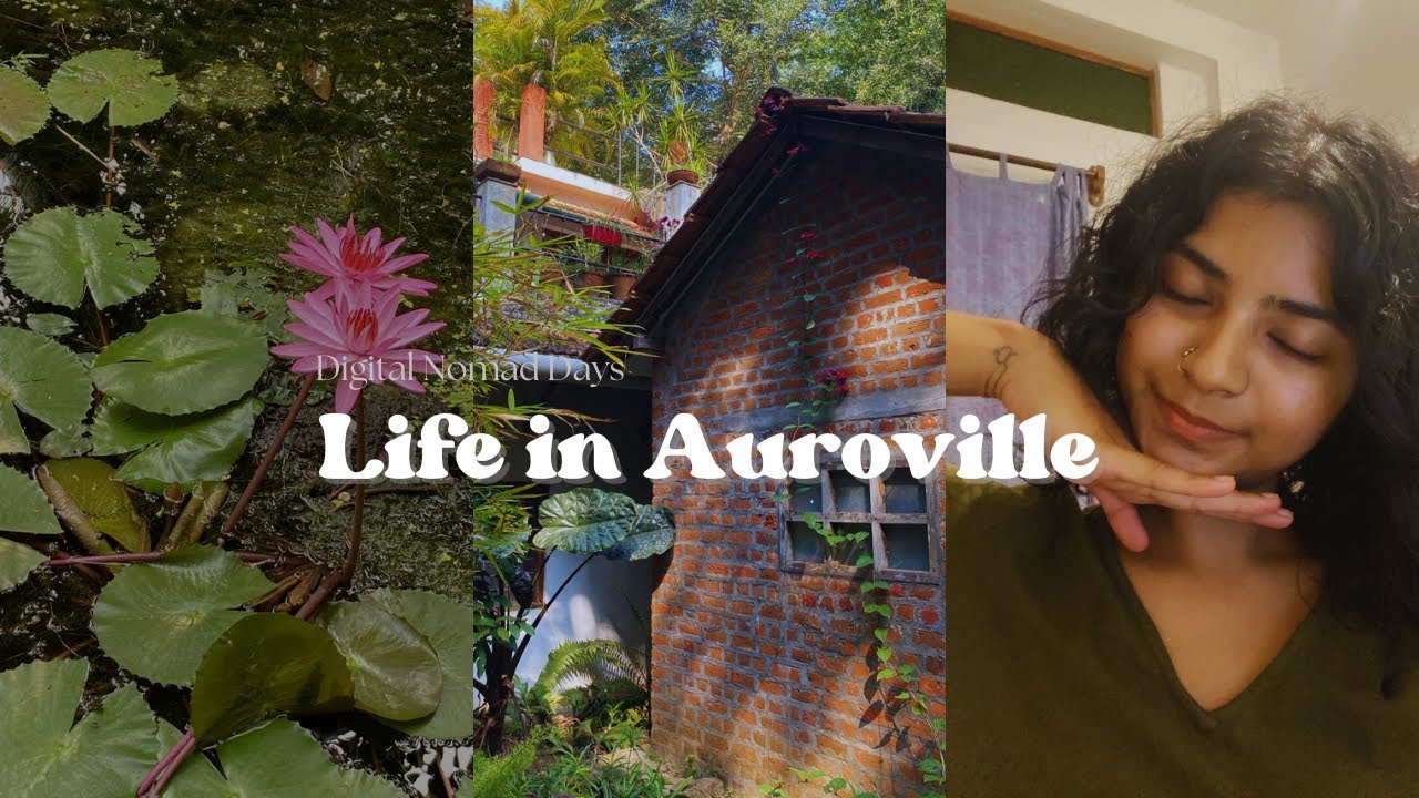 31 days in Auroville - first week, settling in, bakeries, the beach & cats | Digital Nomad Days