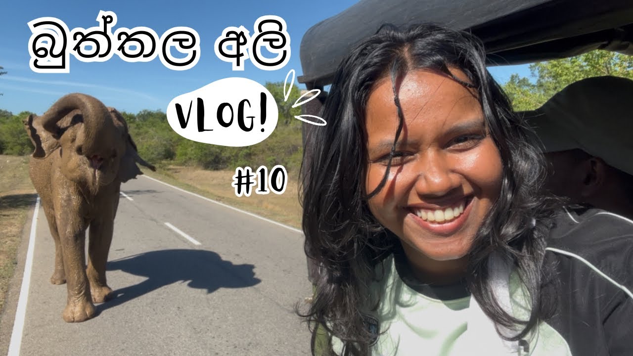 අලි බලන්න ගිව දවසක් | Lunugamvehera National Park | සිතුල්පව්ව විහාරය | කතරගම 