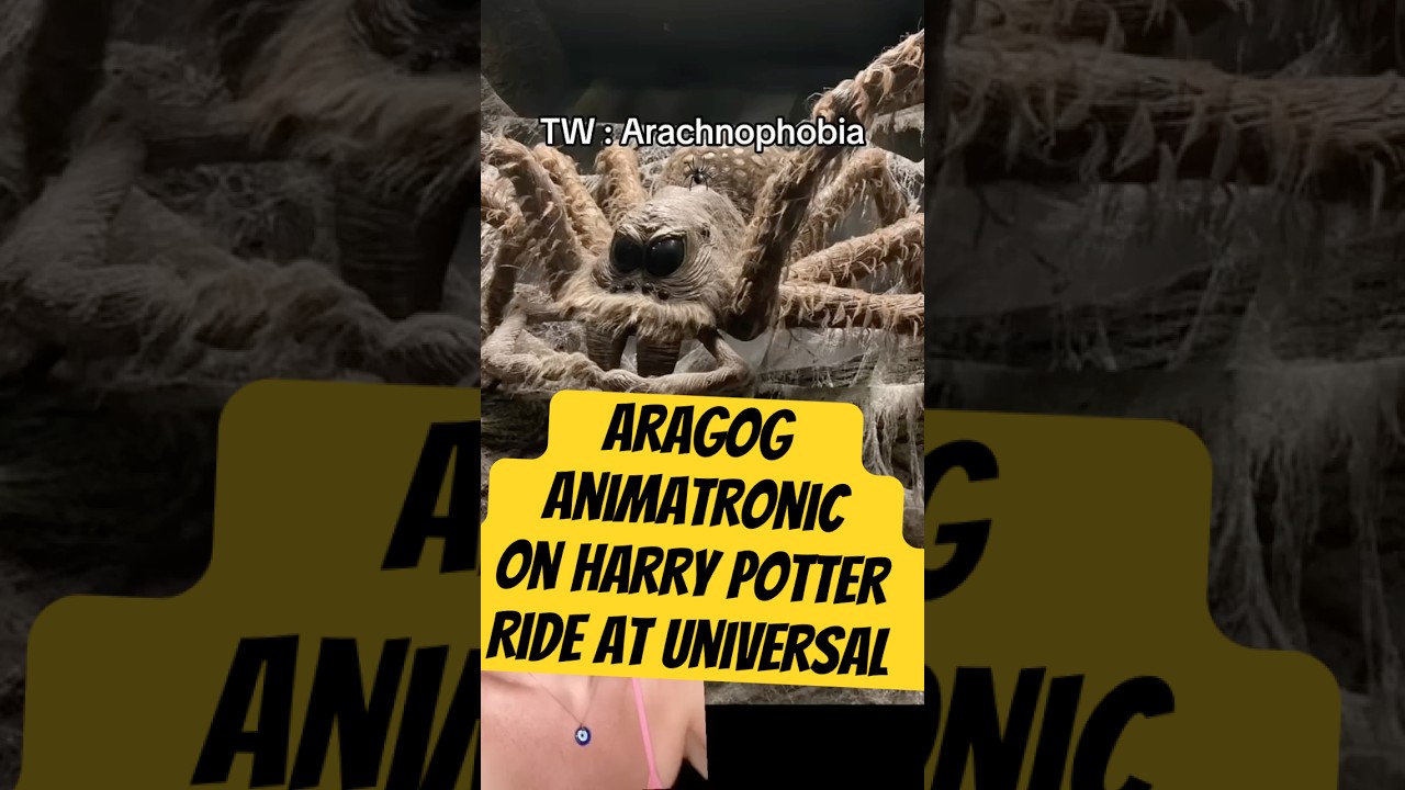 🕷️ People get stuck on the Harry Potter ride in front of Aragog the giant spider #animatronics