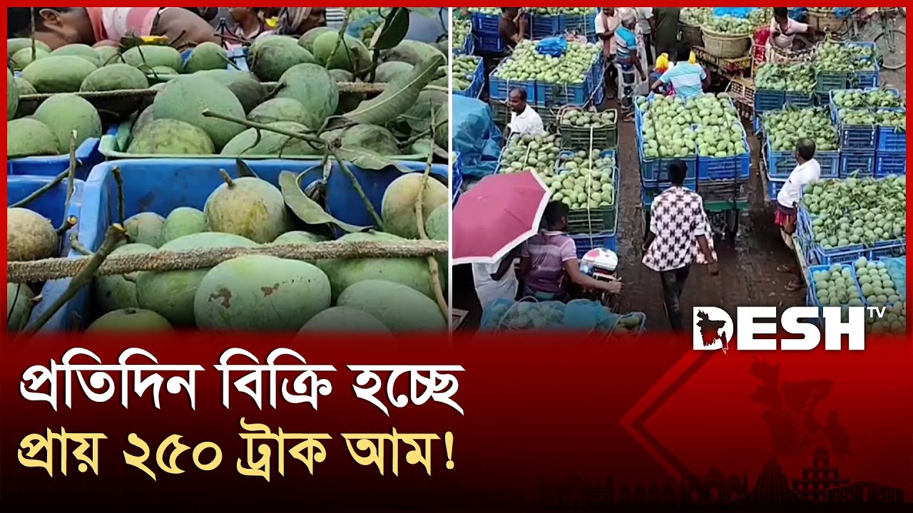 চাঁপাইনবাবগঞ্জের কানসাটে কোন আম কত দামে বিক্রি হচ্ছে? | Kansat Mango Market | Desh TV