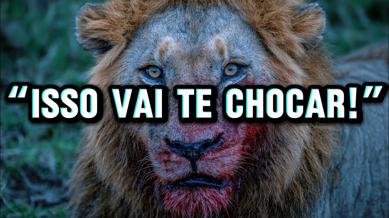 “10 Curiosidades Surpreendentes Sobre Leões Que Você Nunca Soube”