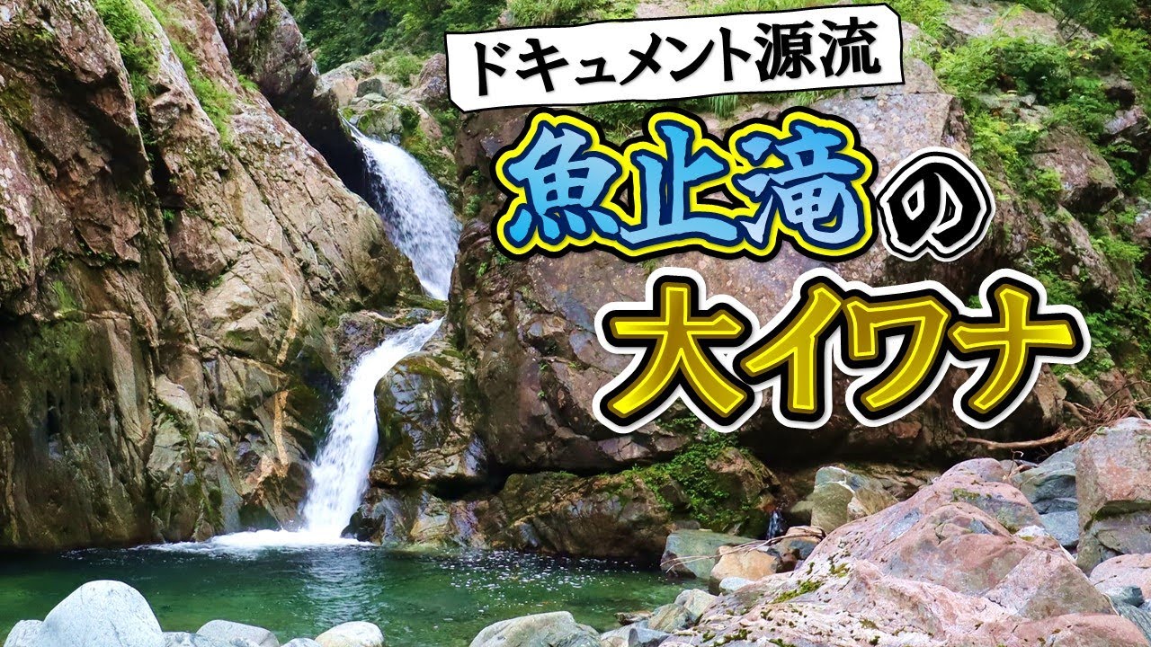 【野営釣行】魚止め滝の大イワナ！「ロマン」を求めて大冒険！！【ドキュメント源流】~Romantic mountain stream Fishing~