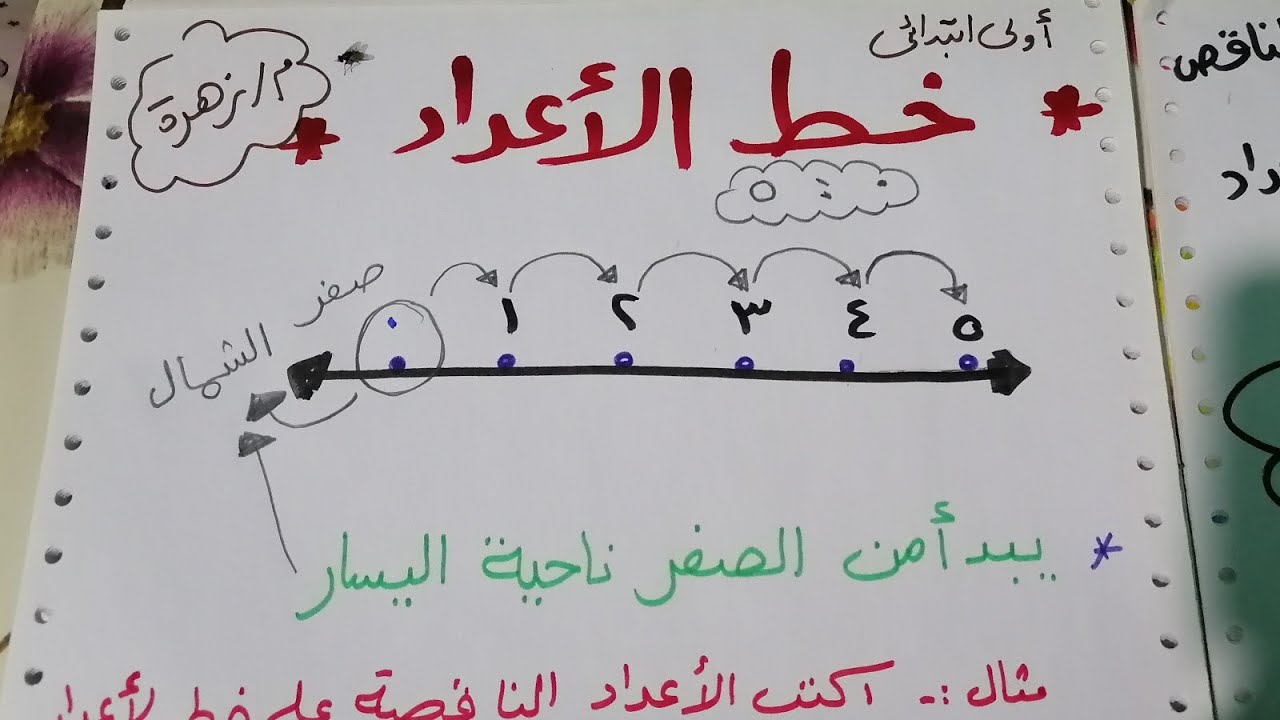 يعني ايه خط الأعداد أولى إبتدائي منهج جديد 👌 علمي ابنك المنهج ببساطة