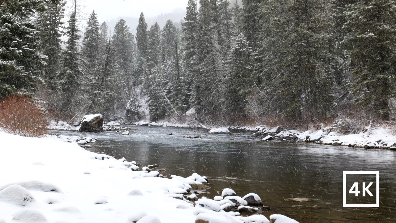 4K Snowy Winter River | Heavy Snow & Nature Sounds for Sleep & Study | Nature Scene for Relaxing