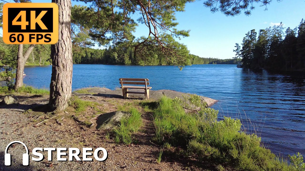 Nature walk around the lake Hedg&auml;rdessj&ouml;n in Skene, Sweden [4K 60fps, stereo sound]