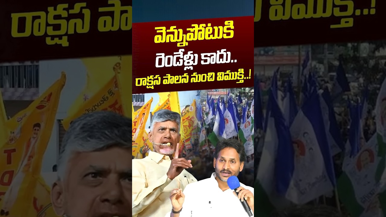 వెన్నుపోటుకి రెండేళ్లు కాదు.. రాక్షస పాలన నుంచి విముక్తి..| YCP party | Jagan | Nethra Tv