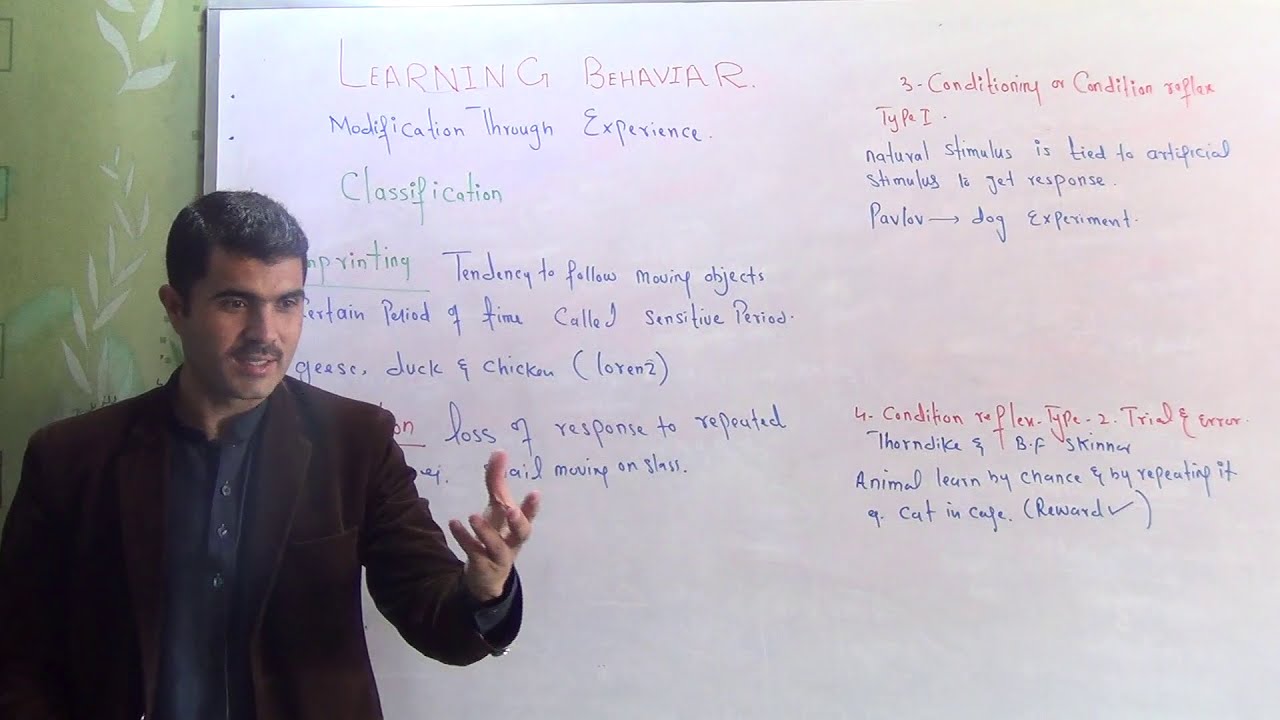 L-3 learning behaviour and its classification