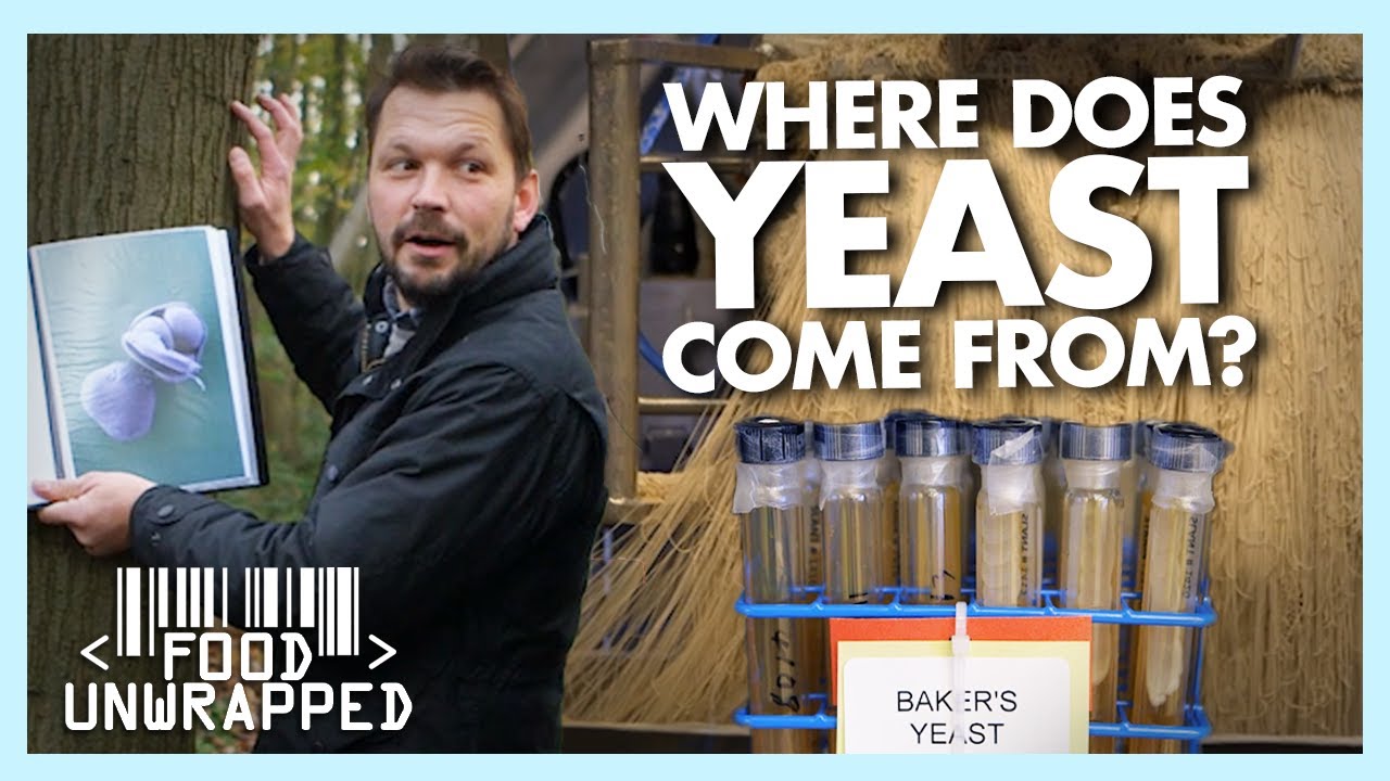 Что такое дрожжи и как их найти? | Food Unwrapped