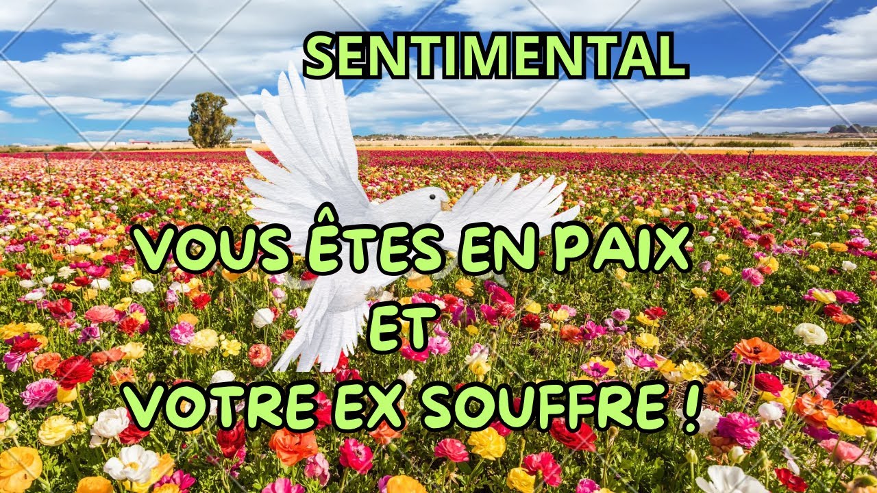 VOUS ÊTES EN PAIX ET VOTRE EX SOUFFRE ! GUIDANCE SENTIMENTALE #guidancesentimentale #oracleamour 