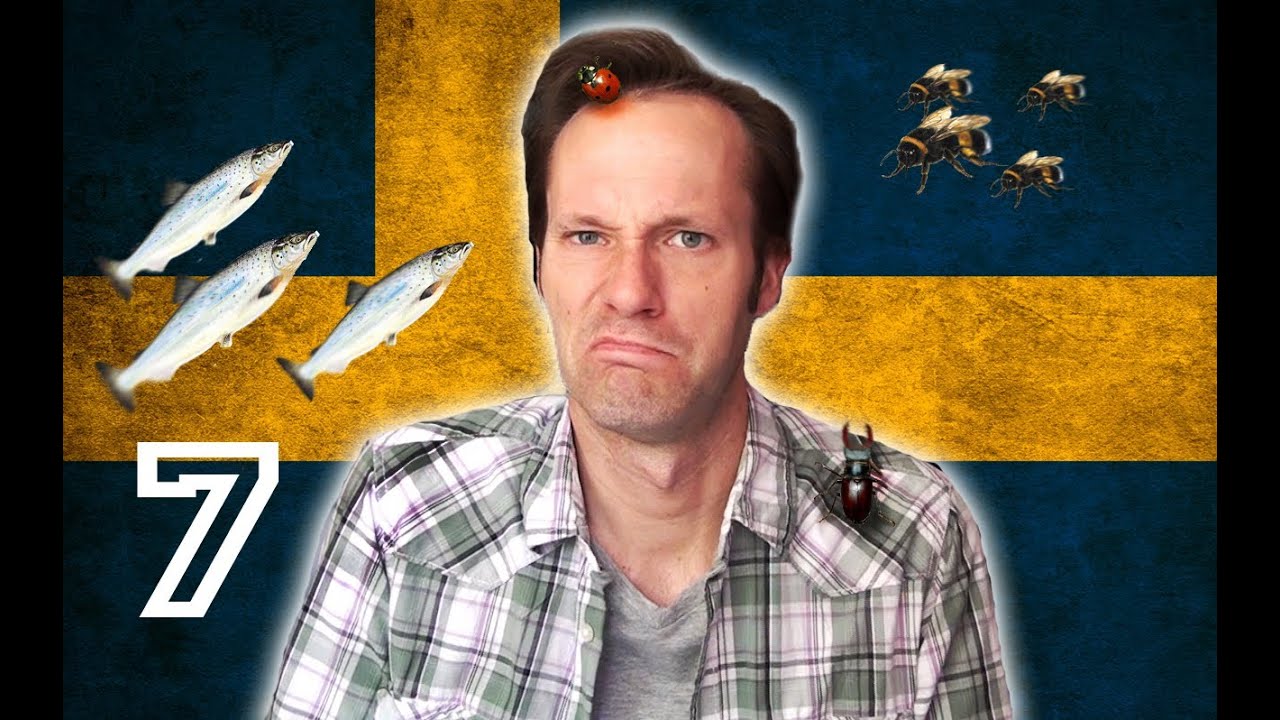 Swedish words for animals - 10 Swedish Words