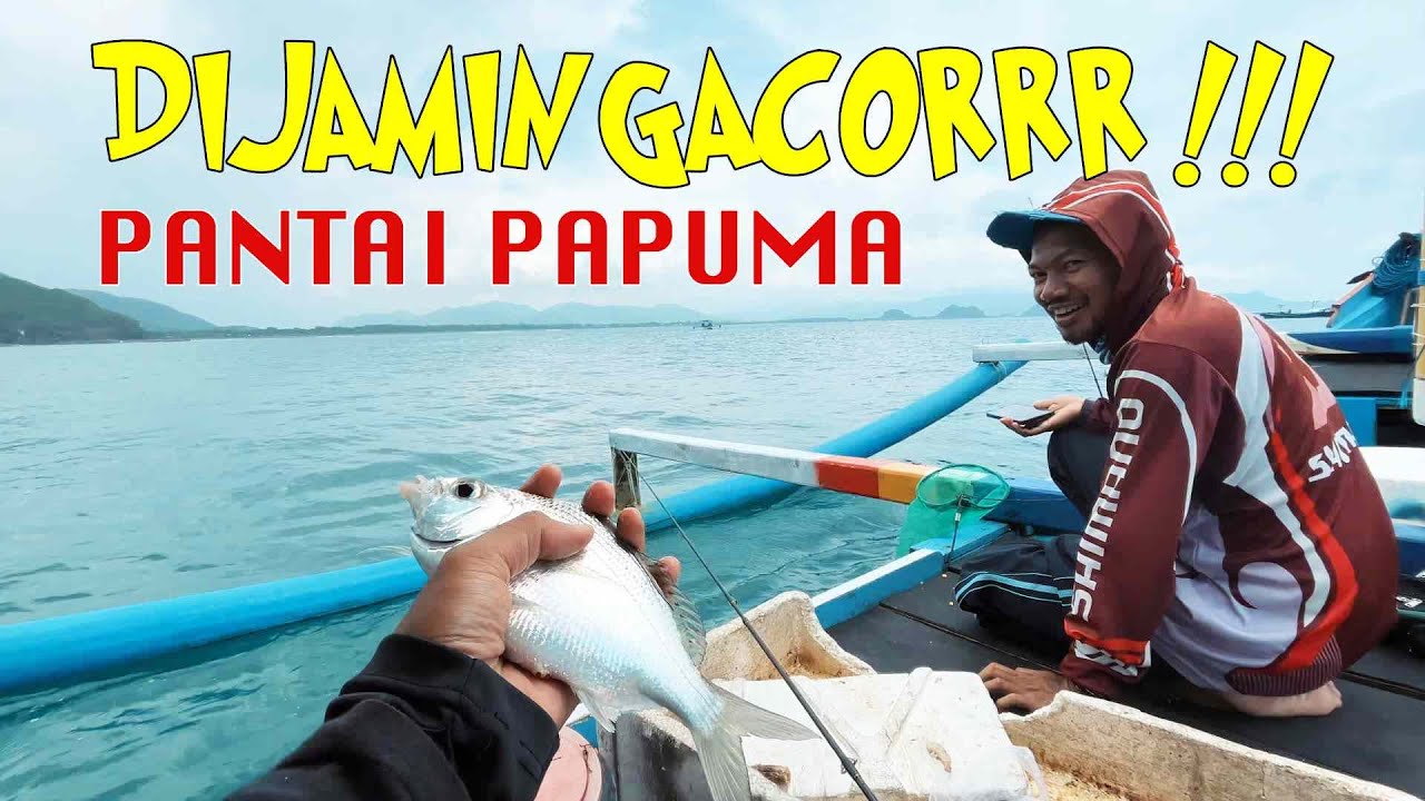 PAKAI TEHNIK DASARAN MANCING DI PANTAI PAPUMA | KAJI MANCING