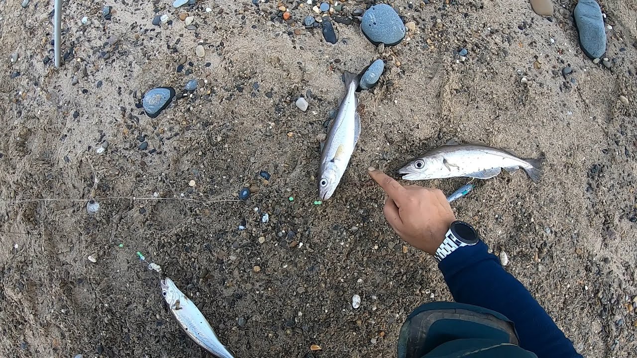 Holderness Coast - Atwick & Hornsea Beach Fishing 1st Vid