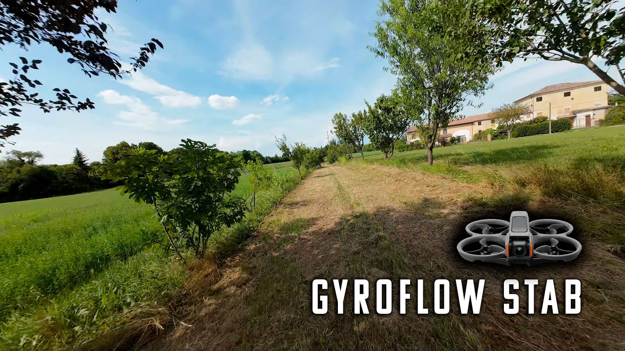 DJI AVATA 2 with Gyroflow after IMU Gimbal and Compass calibration