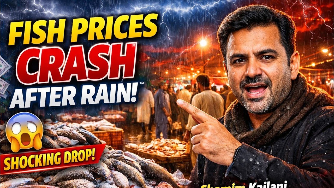 Fish Market Rates Crash After Rain! 😱