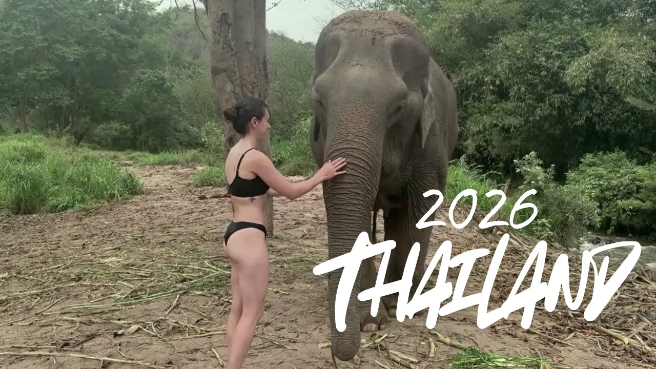 Highlights of THAILAND | 2026 (filmed with iPhone 16 pro)