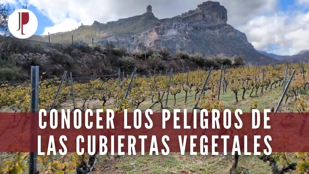 Conocer los peligros de las cubiertas vegetales