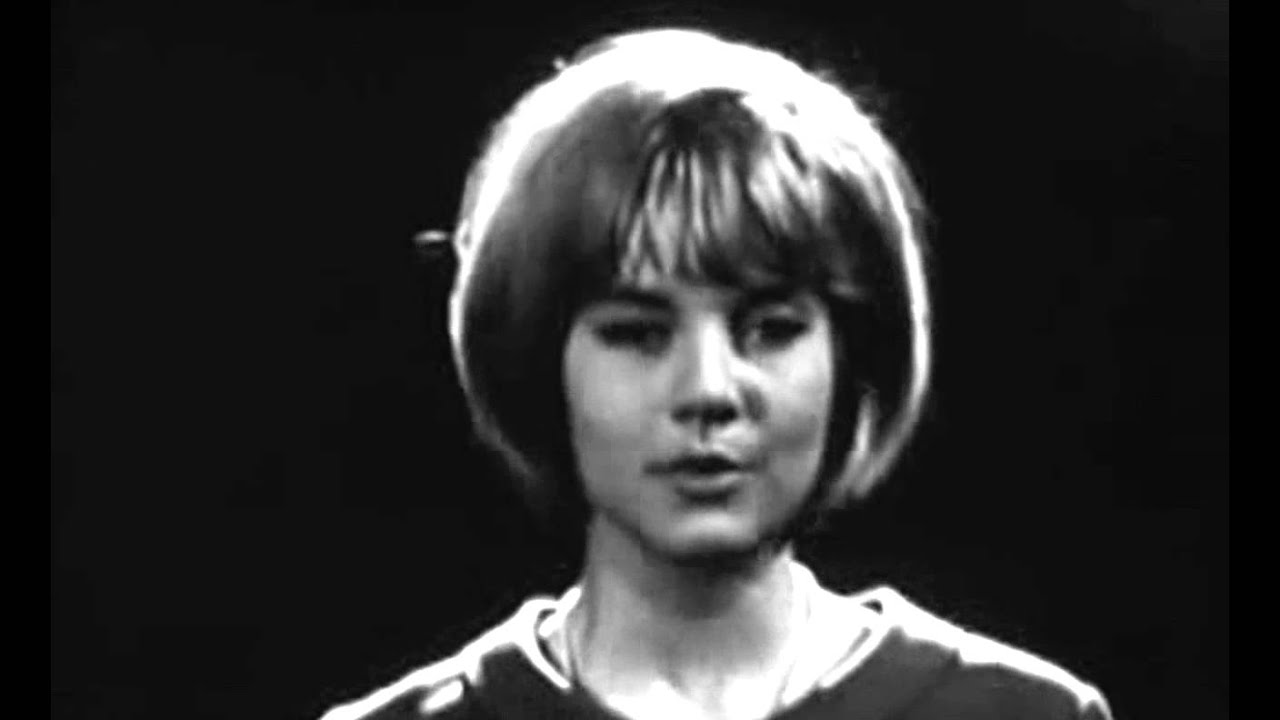 Sylvie Vartan