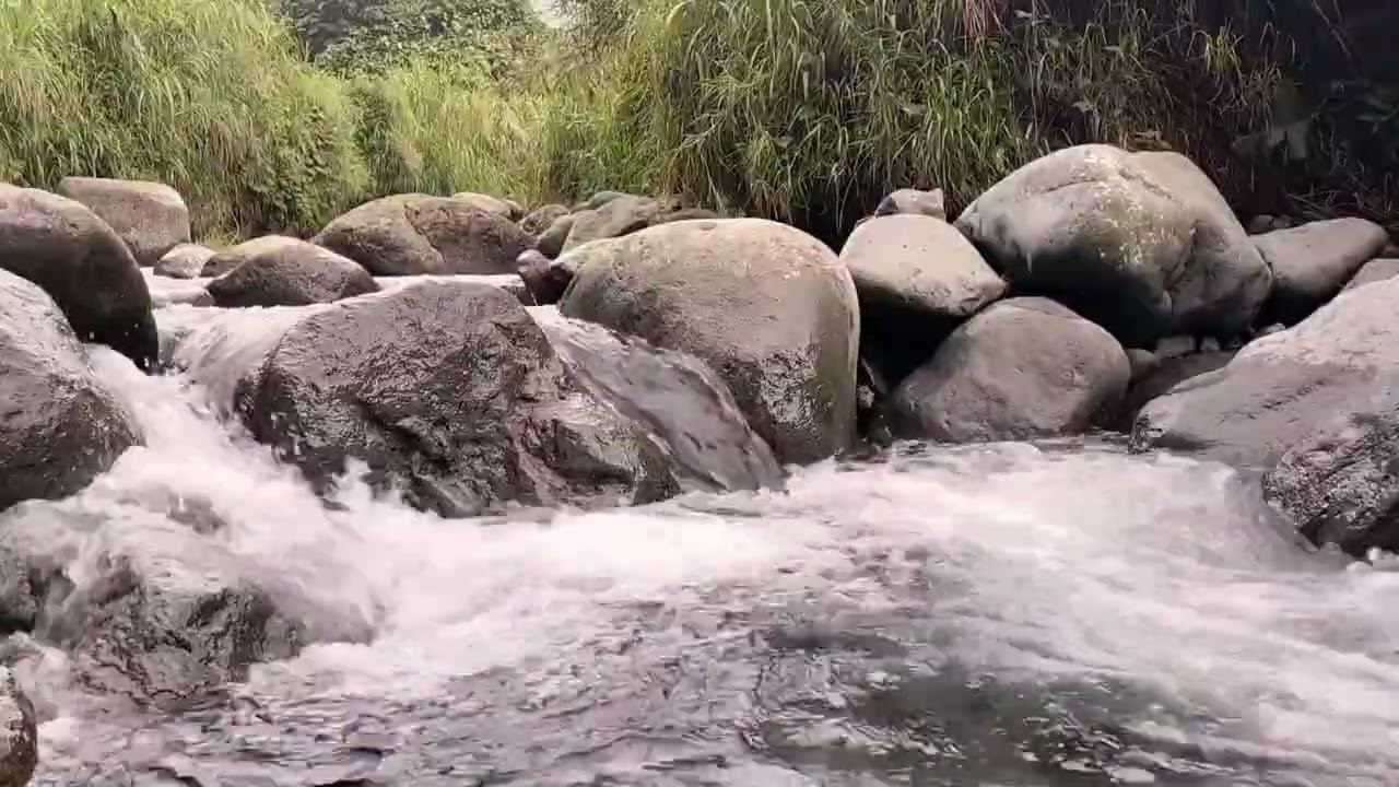 Tranquil Forest River Sleep Ambience