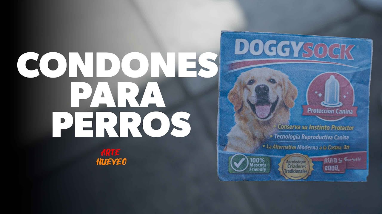 CONDONES PARA PERROS