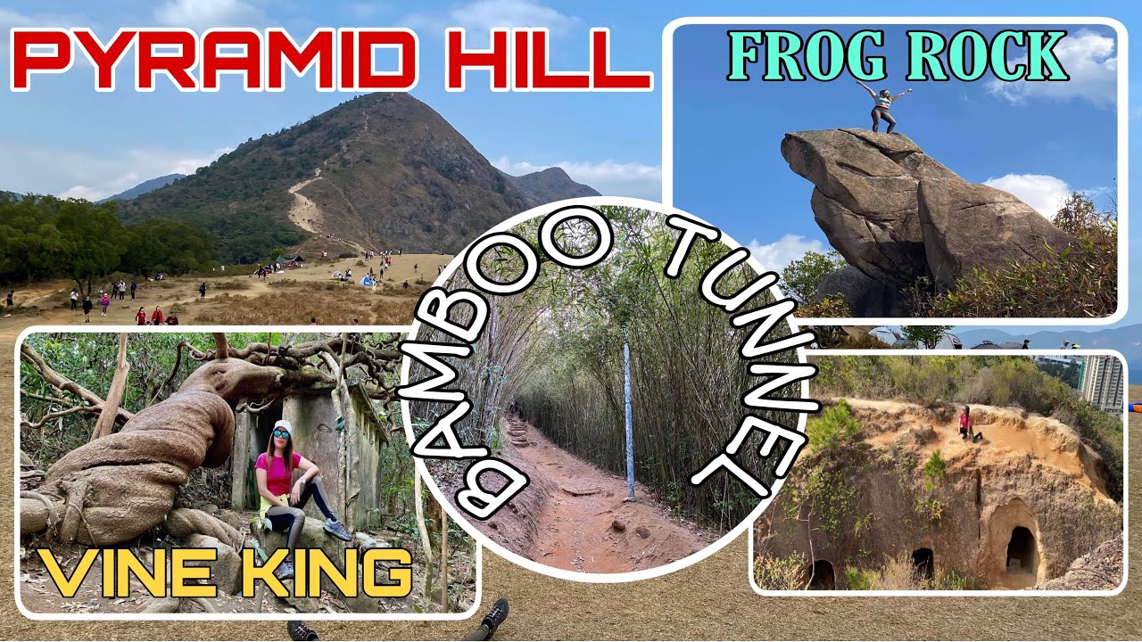 BAMBOO TUNNEL || THE VINE KING ||PYRAMID HILL || FROG ROCK || HIKE HONGKONG || How To Get There