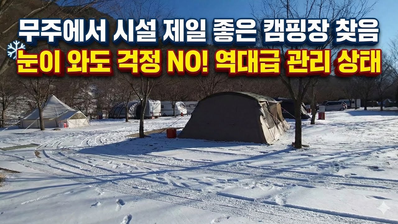 무주에서 시설 제일 좋은 곳? 🏔️ 깊은골 캠핑장 솔직 리뷰! 캠핑장의 정석을 찾았습니다 ⛺️