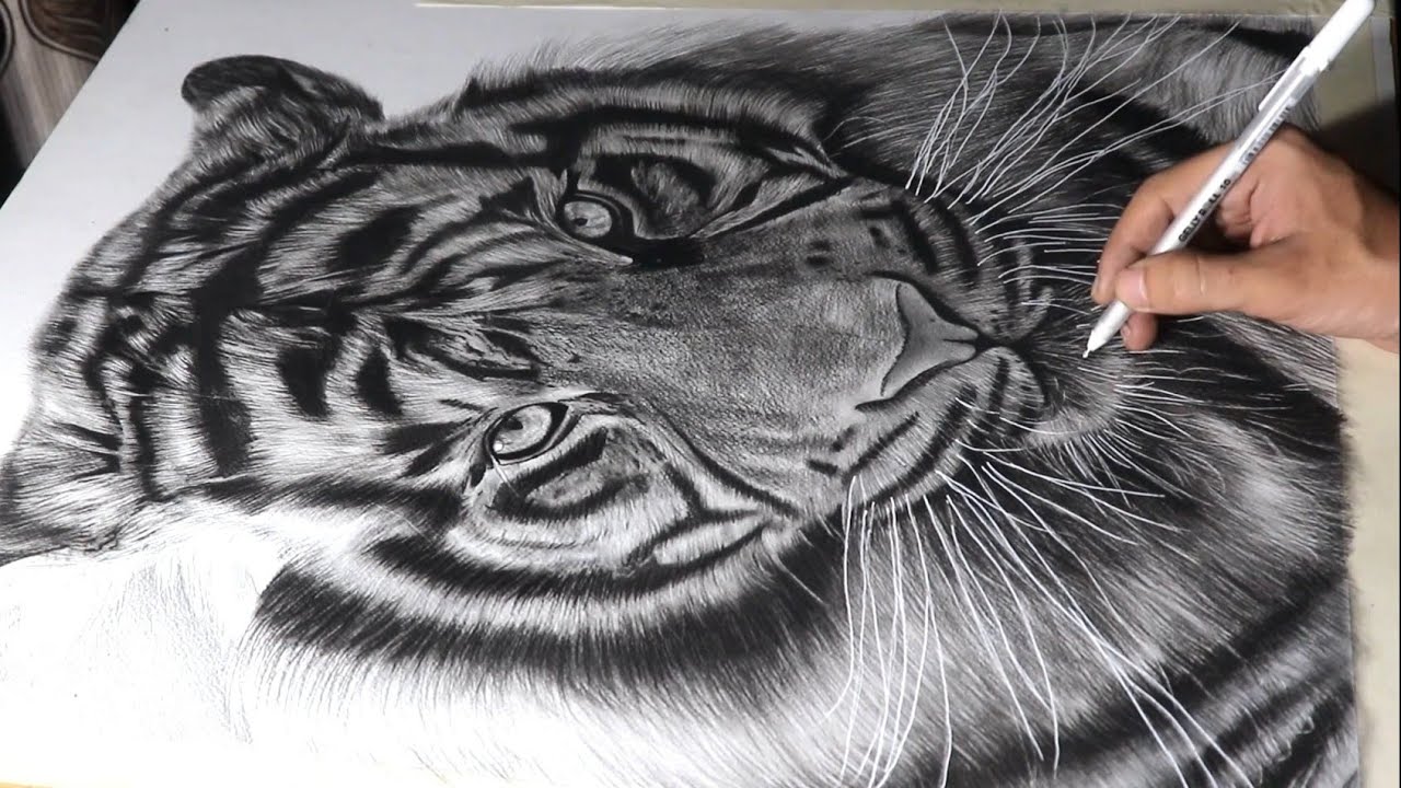 Рисуем тигра 🔥 Интервальная съемка