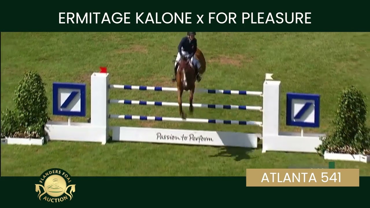 Embryo 18 Ermitage Kalone x Atlanta 541