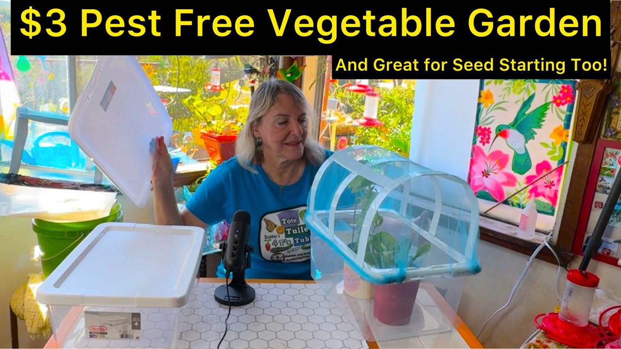 $3 Mini GARDEN DIY w/Pest Cover, Green House Protect Seeds & Plants *Container Gardening Small Space
