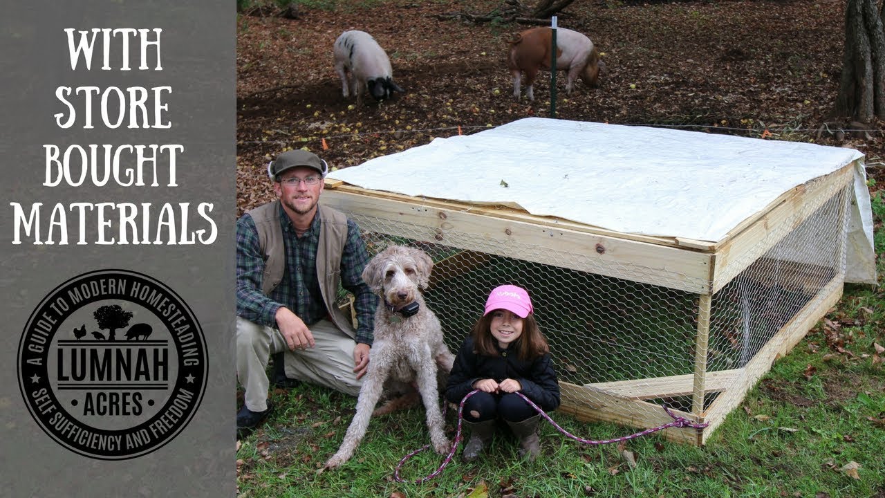 DIY $30 Chicken Coop you can Build in 30 minutes