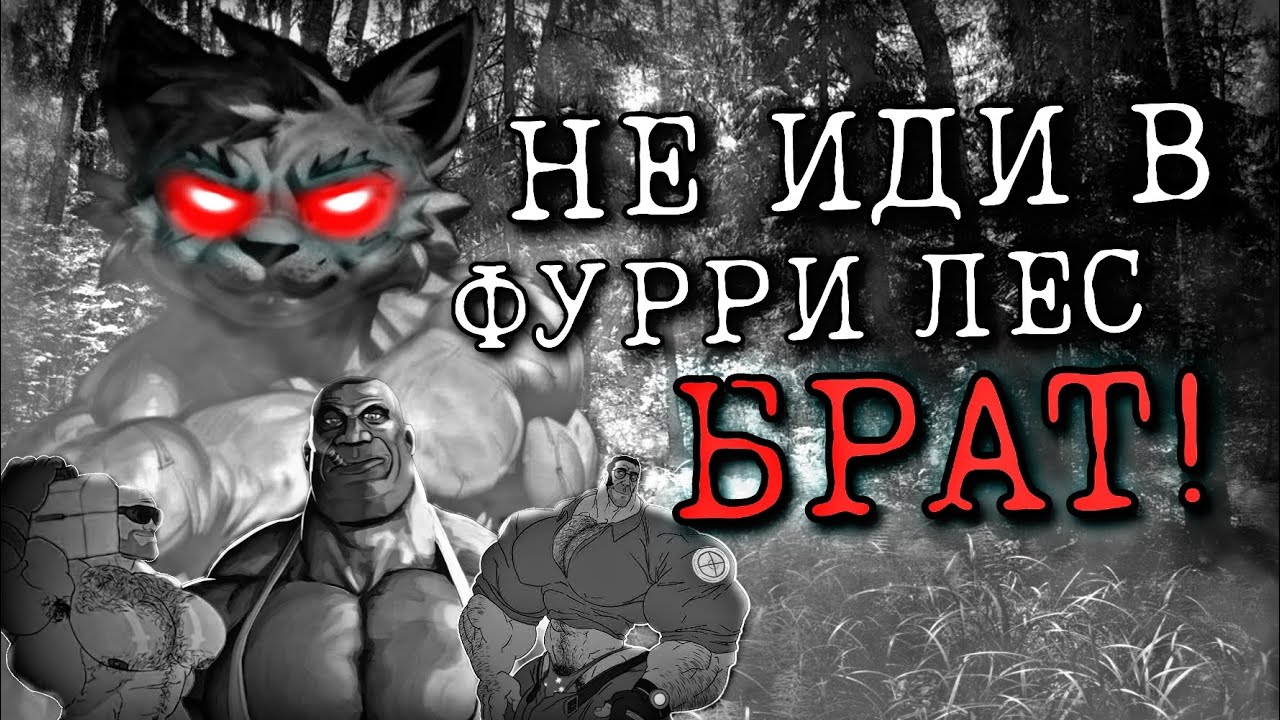 НЕ ИДИ В ФУРРИ ЛЕС БРАТ! [МГЕ СТРАШИЛКА]