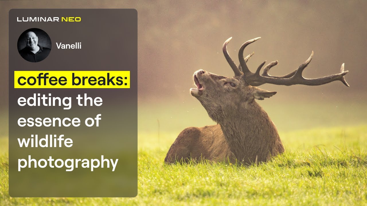 Editing the Essence of Wildlife Photography | Coffee Breaks | Luminar Neo