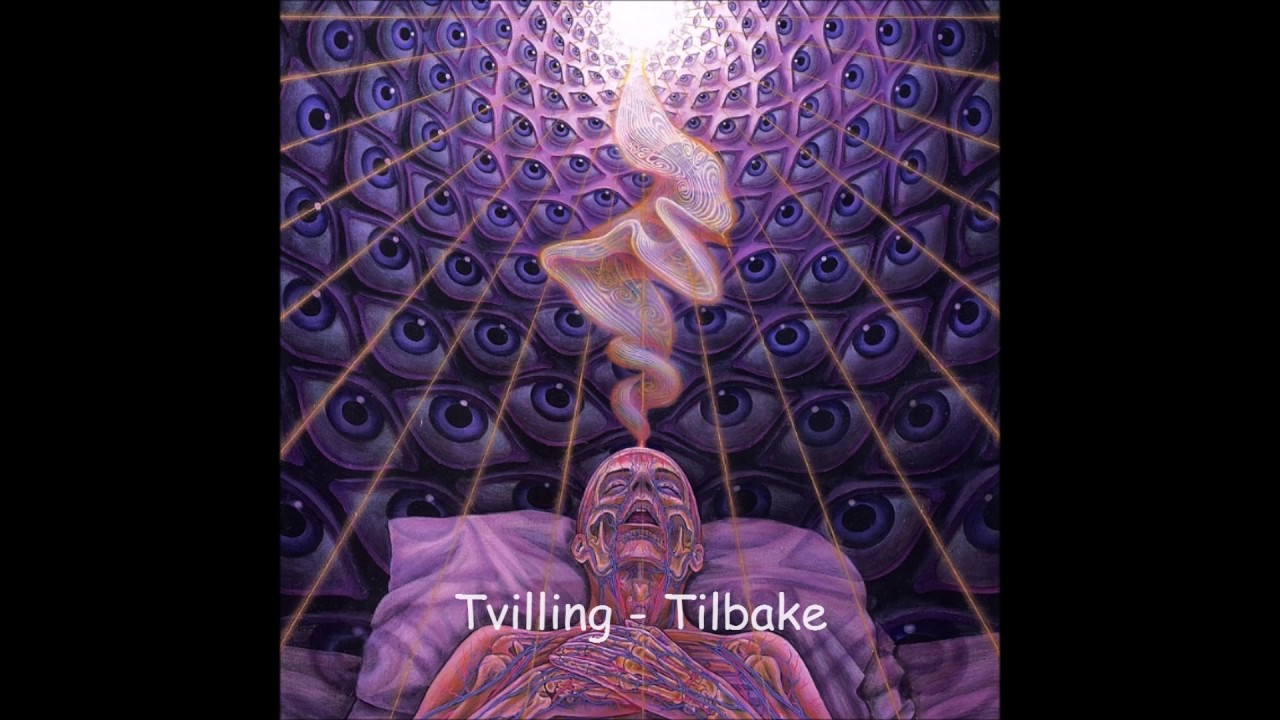 Tvilling - Tilbake
