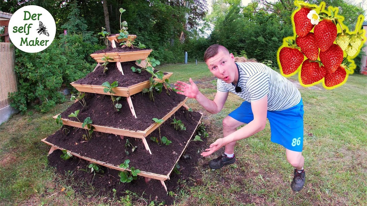 Im Selbstversorger-Garten | Erdbeerpyramide selber bauen | Erdbeeren bau ich so an! | Der self Maker