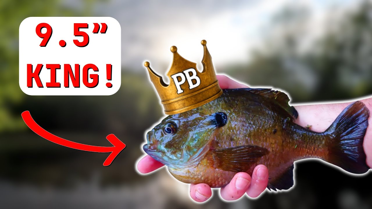 I Couldn't Believe Where I Caught this Thing!