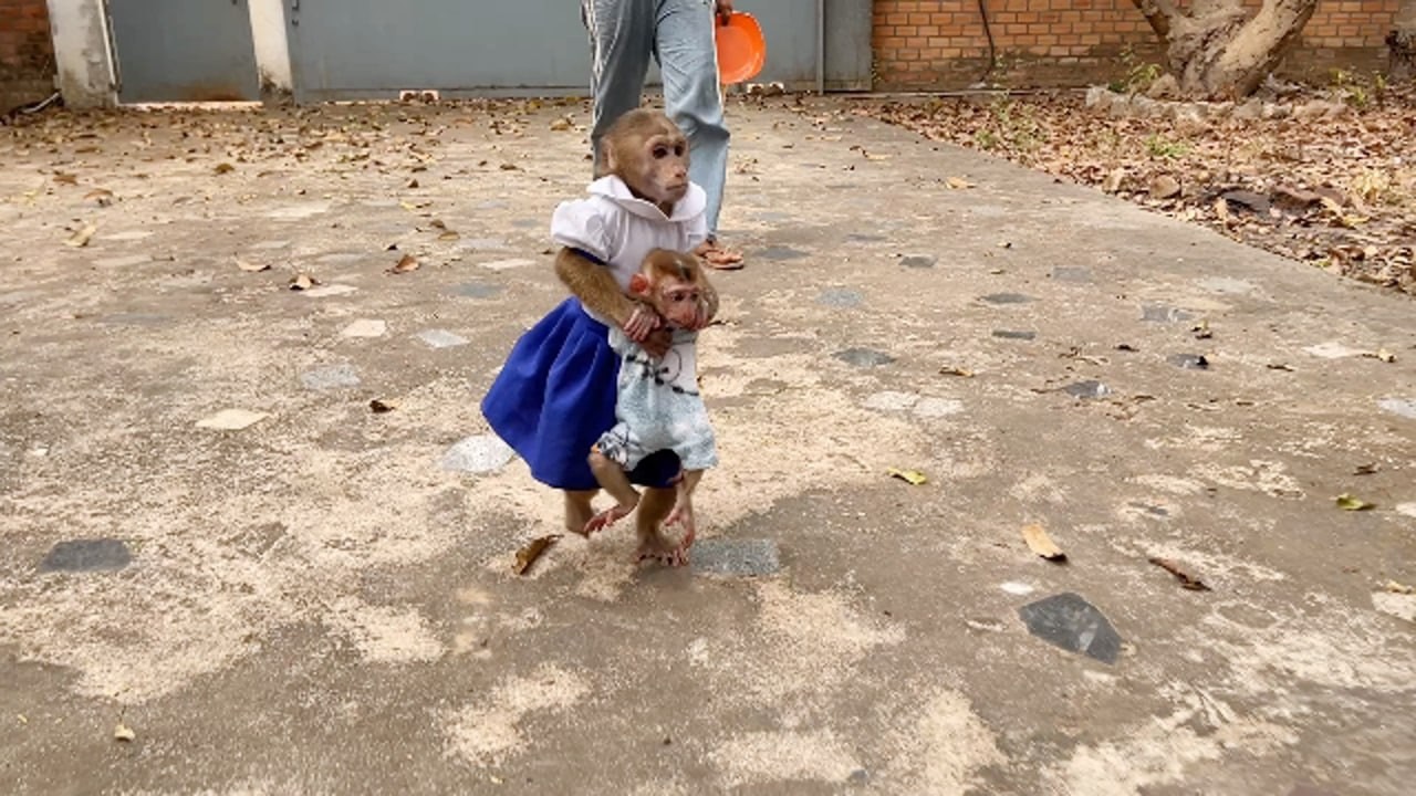Chichi Just Back From School, She Workhard To Bring Ronaldo To Join Her Snack