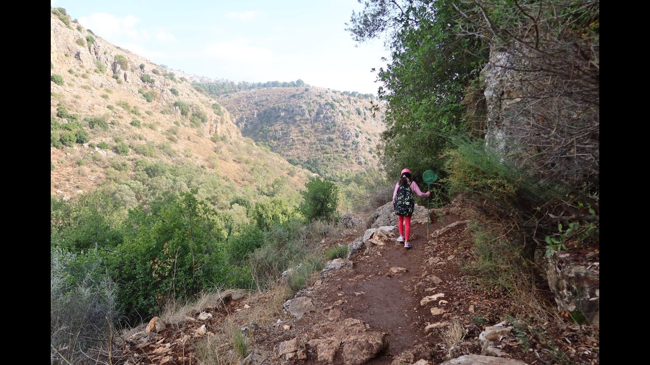 Nature trek with friends - Northern Israel - One day trek