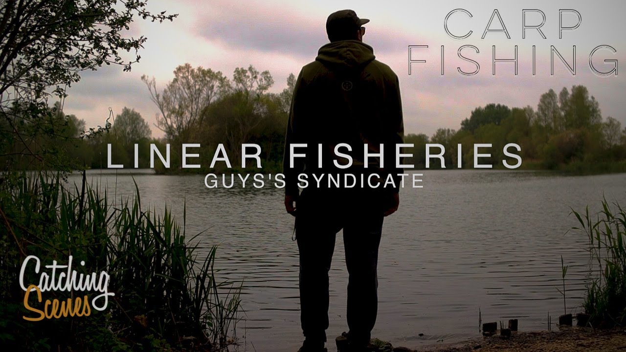 Linear Fisheries - Carp Fishing - Yeomans Lake - Guy's Syndicate - Catching Scenes #006