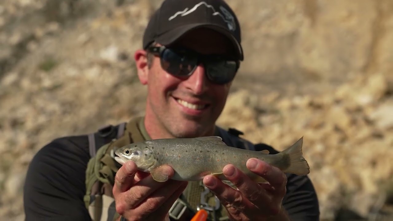 Pêche au lancer dans les Alpes Maritimes, traque de la truite fario de la Roya et ses affluents 🎣