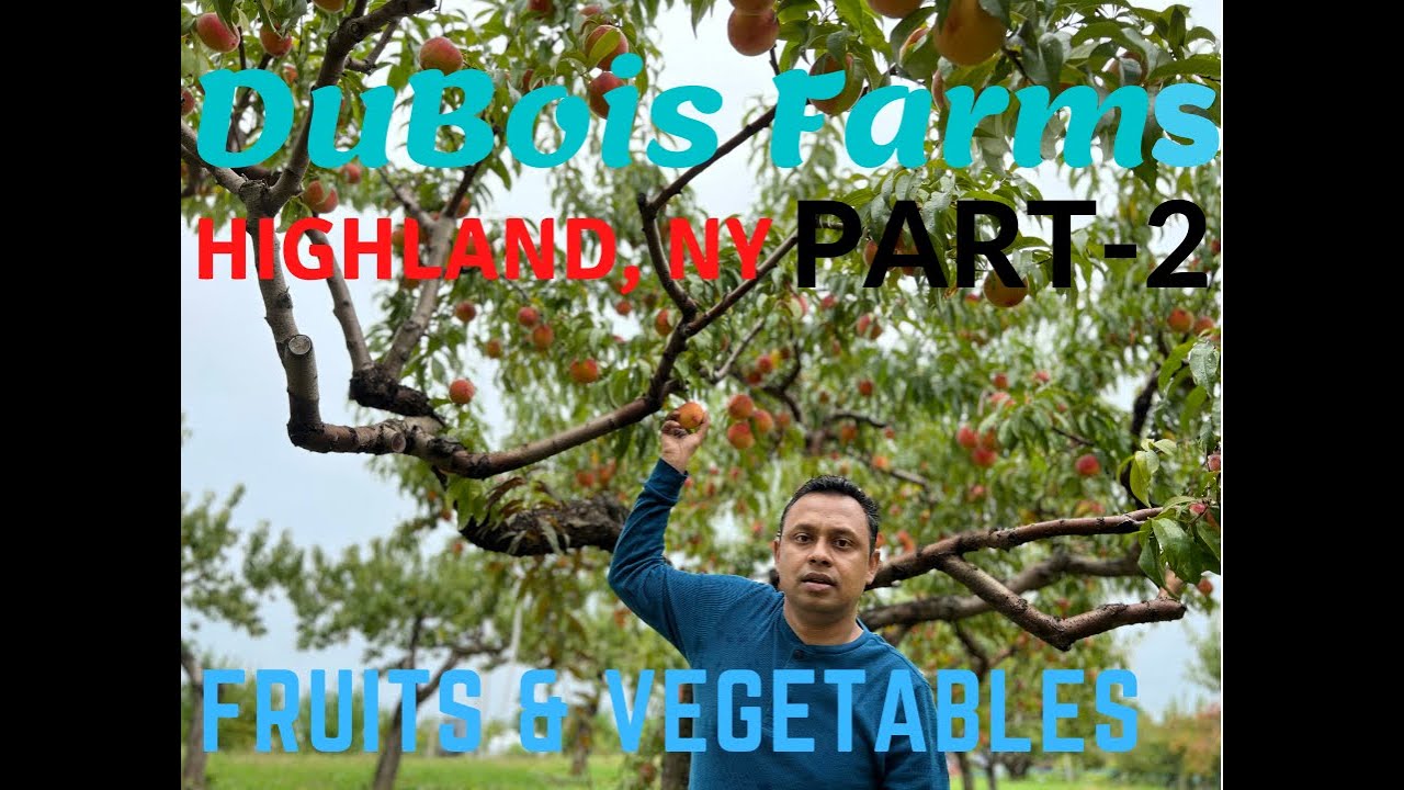 DuBois Farms PART -2 FRUITS & VEGETABLES